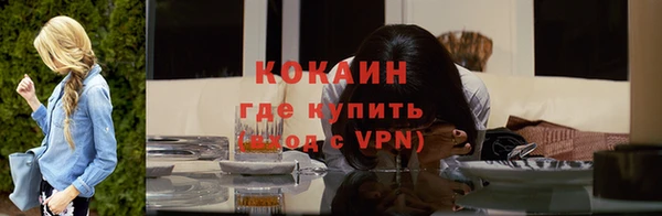 ПСИЛОЦИБИНОВЫЕ ГРИБЫ Гусев