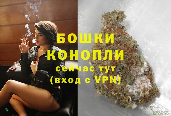 ПСИЛОЦИБИНОВЫЕ ГРИБЫ Гусев
