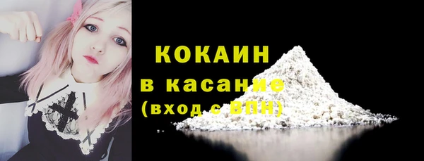 ПСИЛОЦИБИНОВЫЕ ГРИБЫ Гусев
