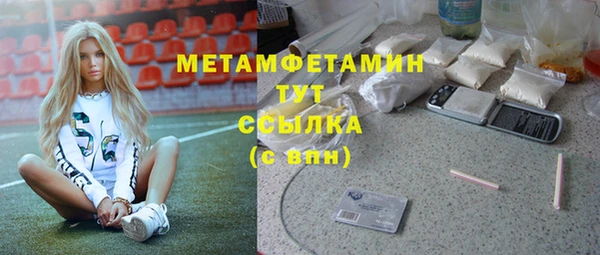 ПСИЛОЦИБИНОВЫЕ ГРИБЫ Гусев