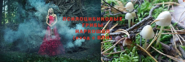 бутират Гусиноозёрск